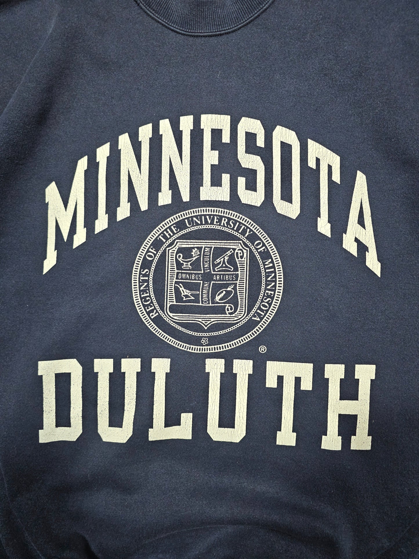 Sweat Vintage Champion 90's Minnesota Duluth - Made in USA (L)