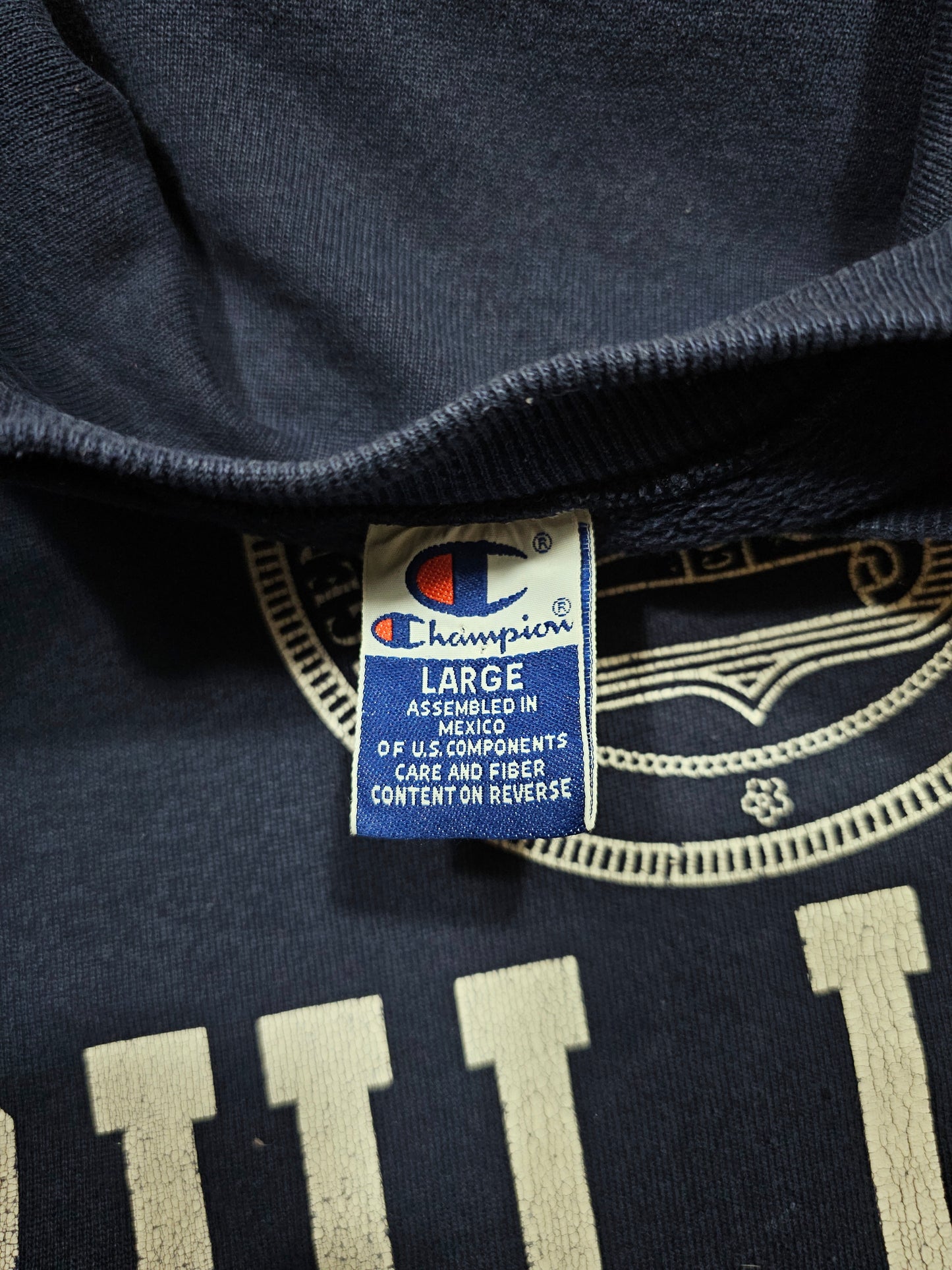 Sweat Vintage Champion 90's Minnesota Duluth - Made in USA (L)