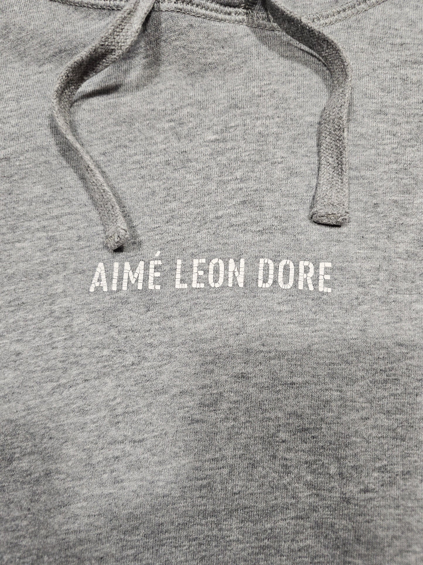 Sweat Hoodie Aimé Leon Dore (M)